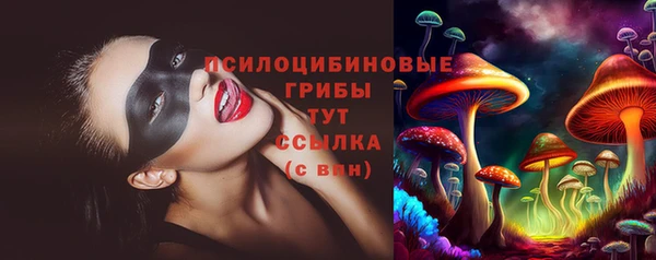 бошки Осинники