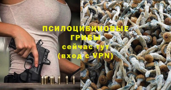 трава Осташков