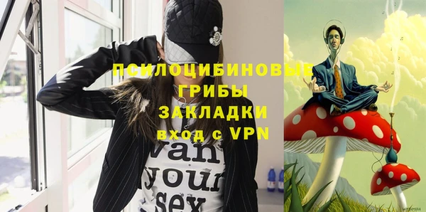 бошки Осинники