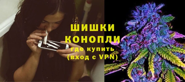 бошки Осинники